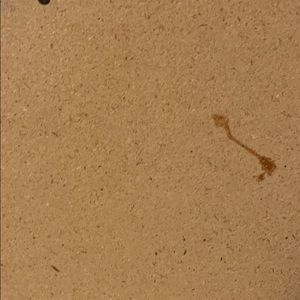 Meet your Posher, Obed